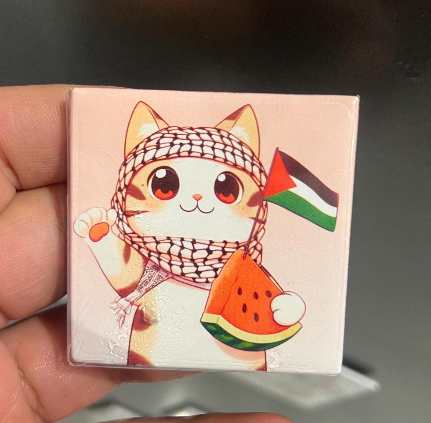 Resistance Art Magnet for Gaza – Free Palestine Fridge Decor with Keffiyeh Pattern and Watermelon Symbol - Palestine Cat Locker Magnet