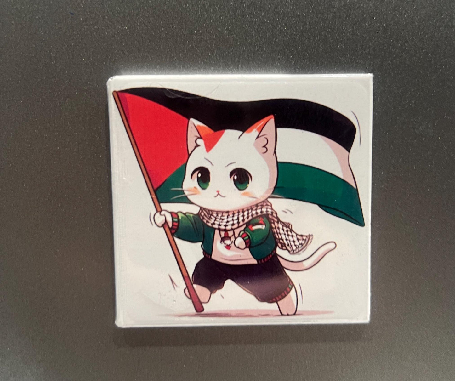 Resistance Art Magnet for Gaza – Free Palestine Fridge Decor with Keffiyeh Pattern and Watermelon Symbol - Palestine Cat Locker Magnet
